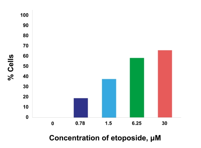 Concentration of etoposide graph